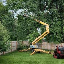 Best Tree Risk Assessment  in St George, MO