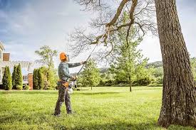 St George, MO Tree Care Company